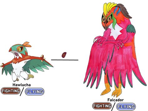 hawlucha evolution